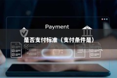 是否支付标准（支付条件是）