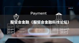 服贸会金融（服贸会金融科技论坛）