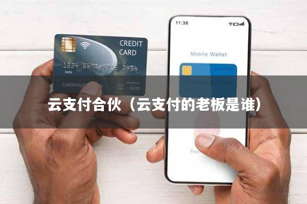 云支付合伙(云支付的老板是谁)