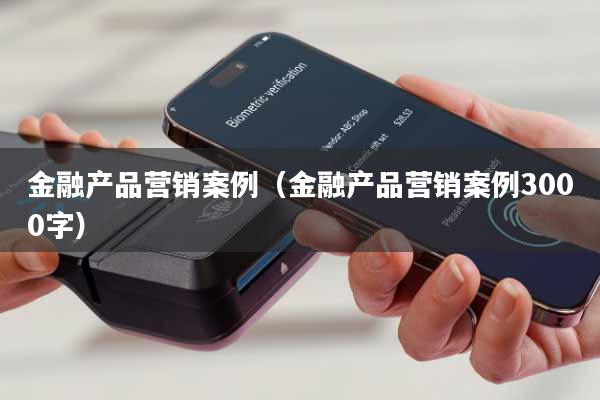 金融产品营销案例(金融产品营销案例3000字)